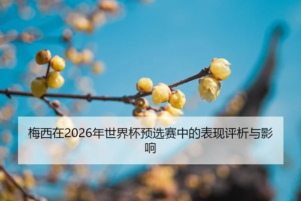 mei-xi-zai-nian-shi-jie-bei-yu-xuan-sai-zhong-de-biao-xian-ping-xi-yu-ying-xiang-2-201.jpg