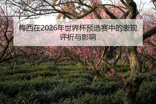 梅西在2026年世界杯预选赛中的表现评析与影响