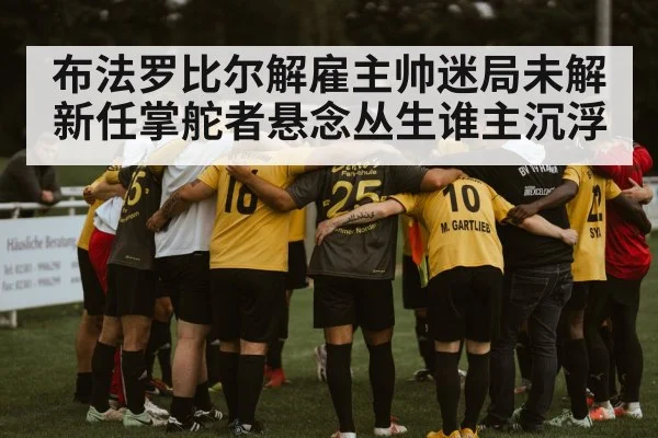 布法罗比尔解雇主帅迷局未解 新任掌舵者悬念丛生谁主沉浮